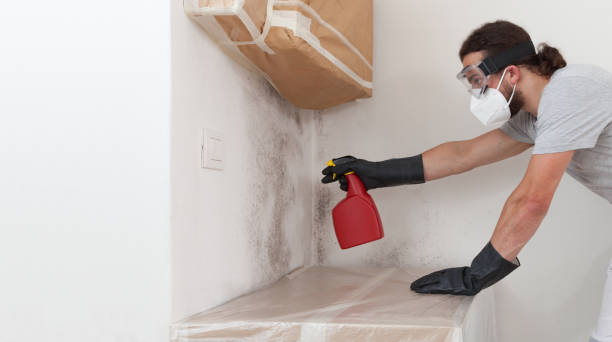 Professional Mold Testing technician working in Mount Sinai, NY