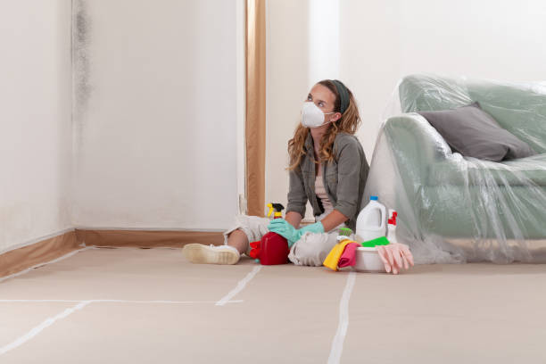 Reliable Mold Testing contractor in Mount Sinai, NY by WQB Mold Removal